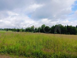 1/5 доля земельного участка в Пермском крае 