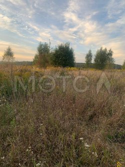 1/265 доля земельного участка в Орловской обл. 