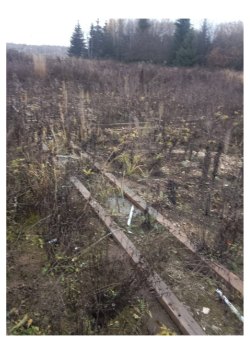 Земельный участок, площадь: 1 000м?, адрес (местонахождение): Российская Федерация, Республика…