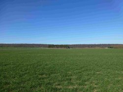 Земельный участок, площадь: 720кв.м., адрес (местонахождение): Костромская область, г. Кострома…