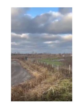 Земельный участок, расположенное на нем незарегистрированное деревянное строение по адресу:…