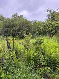 Нежилое помещение (здание), площадь: 14,6кв.м., кадастровый номер: 71:29:010101:2717 и земельный…