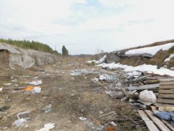 «Земельный участок (кад. № 62:05:2830301:137) площадью 17414 кв.м., по адресу Рязанская обл…