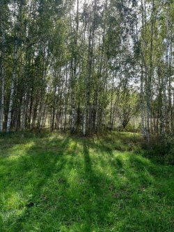 Земельный участок в Ивановской обл., 5000 +/- 25 кв.м. 