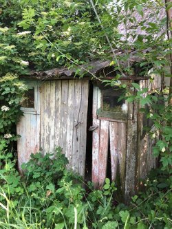 Жилой дом 37,2 кв.м. и земельный участок 100 соток