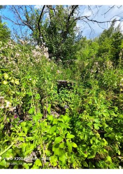 Нежилое здание, площадь: 13,2кв.м., кадастровый номер: 71:29:010108:377, и земельный участок …