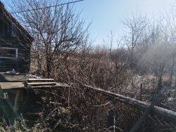 Жилой дом, площадь 43,6 кв. м., назначение: жилое, адрес (местонахождение): Россия, обл. Липецкая…