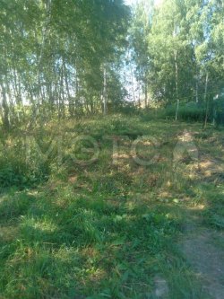 Земельный участок в Ивановской обл., 500 кв.м. 