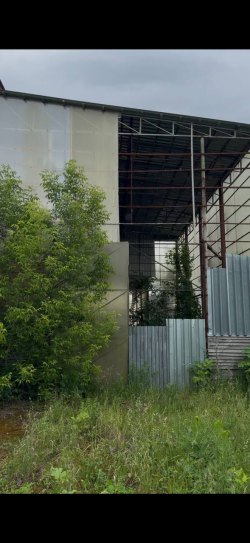 Имущество мартьянова А.Б. (с. Стряпунята)