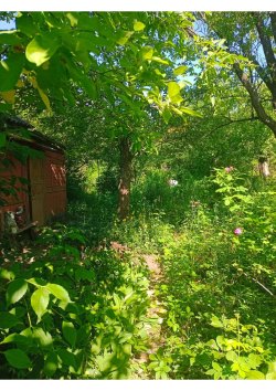 Земельный участок, площадь: 657кв.м., кадастровый номер: 36:34:0520001:26, Категория земель: Земли…