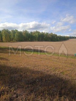 Земельный участок в Иркутской обл., 86000 +/- 2566 кв.м. 