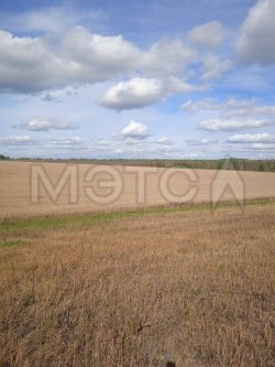 Доля земельного участка в Иркутской обл. 