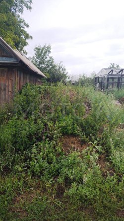 Здание 18 кв.м. и 4/6 доли земельного участка в Башкортостане 