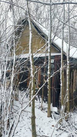 1/3 доля дома и 1/3 доля земельного участка в Белгородской обл. 