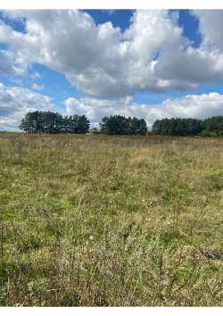 Земельный участок 33,5 га, РТ, Верхнеуслонский район