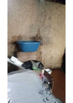 1/4 доля в праве на жилое здание, площадь: 40,5 кв.м., кадастровый номер: 66:32:0407002:137 и право…