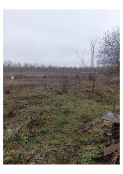 Земельный участок, площадью 3900 +/- 22 кв. м, 
категория земель: земли населенных пунктов…