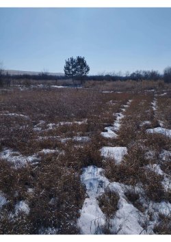 Земельный участок Адрес Россия, Хакасия, городской округ город Черногорск, город Черногорск…