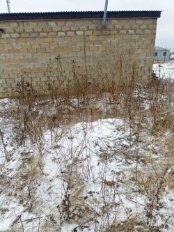 Здание 24 кв.м. и земельный участок 24 кв.м. в Тульской обл. 