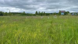 Земельный участок, площадью 840 кв.м., расположенный по адресу:  Московская обл, Можайский р-н…