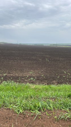 земельный участок