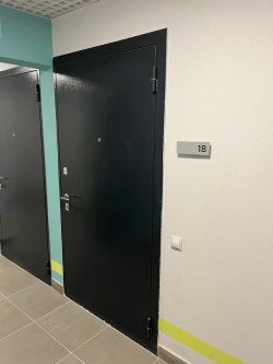 Однокомнатная квартира по адресу: Санкт-Петербург, МО Полюстрово, Муринская дорога, д. 29, стр. 1…