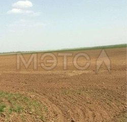 6/2066 доли земельного участка в Курганской обл. 