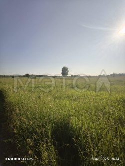 Земельный участок в Новосибирской обл., 525 кв.м. 