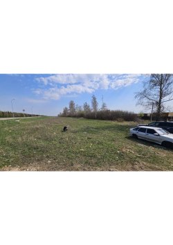 Земельный участок с кадастровым номером
16:33:050102:618. Республика Татарстан, Пестречинский…