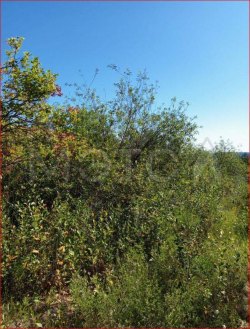 Земельный участок в Кировской обл., 660 кв.м. 