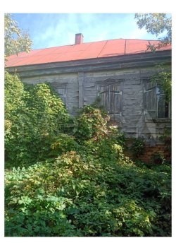 Дом 52 кв.м. и земельный участок 1000 кв.м. в Воронежской обл. 