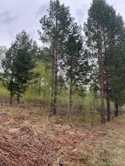 Земельный участок - 2 000 +/- 31 кв. м, адрес: Иркутская обл., Иркутский р-н, Ангарское…