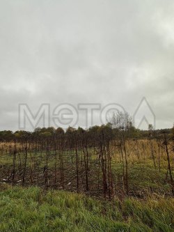 Земельный участок, 1 246 кв.м., в Тверской обл. 