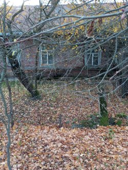 Дом 58,4 км и земельный участок 1200 кв.м в Псковской области 