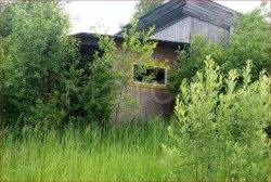 Здание 43 кв.м. и земельный участок 250 кв.м. в Костромской обл. 