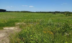 Земельный участок 675 875 кв. м в Ивановской области 