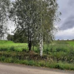 Земельный участок Кадастровый номер: 50:05:0130117:621, Здание Кадастровый номер: 50:05:0130117:953