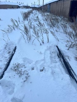 Здание нежилое - 925,6 кв. м, здание нежилое - 320,1 кв. м, склад - 1 063,8 кв. м, склад - 74,8 кв…