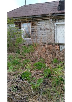 Земельный участок, жилое помещение (здание)