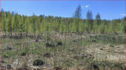 Земельный участок в Московской обл., 800 кв.м. 