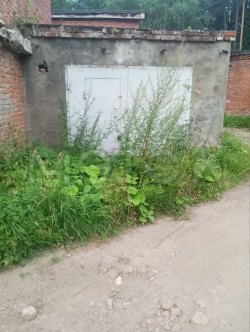5/8 доли гаража и 5/8 доли земельного участка в Удмуртии 