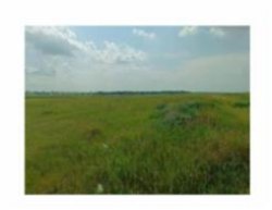 Земельный участок, площадь 612 кв.м., адрес (местонахождение): Россия, край Красноярский…