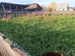 Земельный участок в Иркутской обл., 1200 кв.м. 