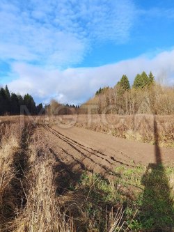 Земельный участок в Вологодской обл., 407 +/- 6 кв.м. 