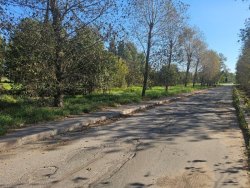 Земельный учаcток - 22 433 +/- 30 кв. м, местоположение: Санкт-Петербург, город Пушкин…