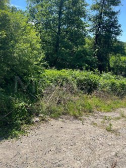 Земельный участок в Сочи, 500 +/- 16 кв.м. 