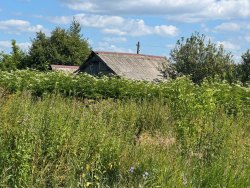 Чернышов Олег Николаевич:
Земельный участок, площадь 797 кв.м., адрес (местонахождение): Россия…