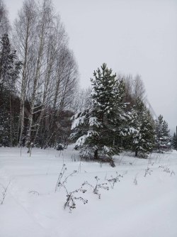 Земельный участок в Пермском крае, 2500 кв.м. 