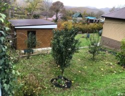 Земельнный участок кадастровый номер 23:33:0701009:172 и Жилой дом кадастровый номер…