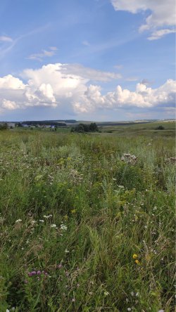 Арысланова Эльвина Радиковна Земельный участок по адресу: Российская Федерация.
Республика…